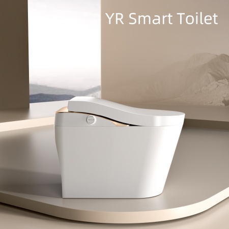 smart toilet