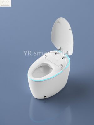 egg shape smart toilet egg shape smart toilet