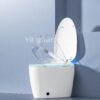 Egg-shaped Toilet Egg-shaped Toilet