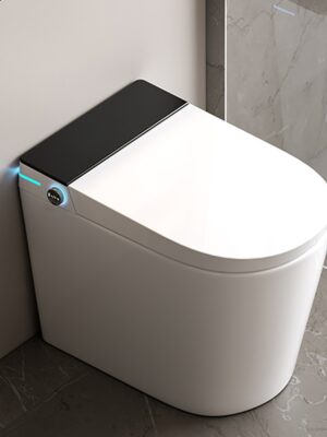 Compact Smart Toilet with Auto Lid Opening, Voice Control & Built-in Water Tank