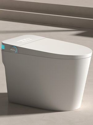 main_image_05_hero_scene Healing Smart Toilet with Infrared Warm Light, Voice Control & Built-in Foam Shield